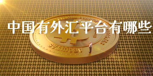 中国有外汇平台有哪些_https://cj007.lansai.wang_财经新闻_第1张