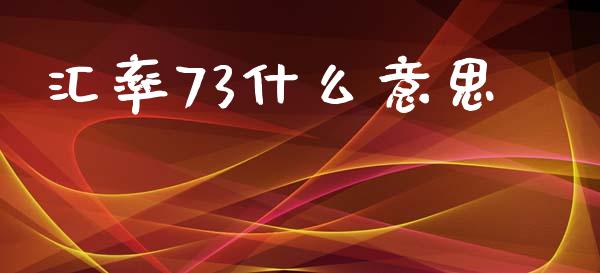 汇率73什么意思_https://cj007.lansai.wang_全球市场_第1张