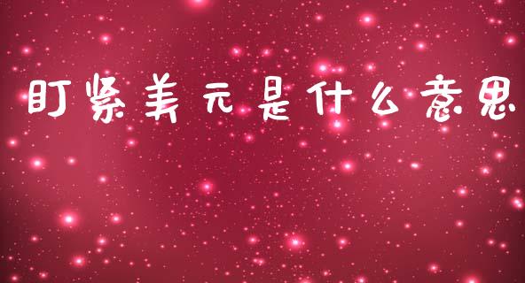 盯紧美元是什么意思_https://cj007.lansai.wang_金融监管_第1张
