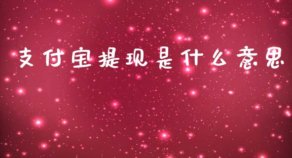 支付宝提现是什么意思_https://cj007.lansai.wang_期货开户_第1张