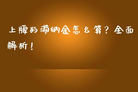 上牌的滞纳金怎么算？全面解析！_https://cj007.lansai.wang_外汇交易_第1张