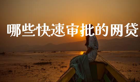 哪些快速审批的网贷_https://cj007.lansai.wang_金融监管_第1张