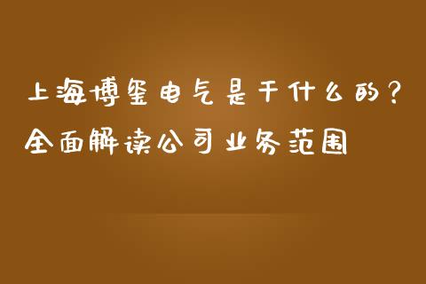 上海博玺电气是干什么的？全面解读公司业务范围_https://cj007.lansai.wang_全球市场_第1张