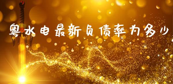 粤水电最新负债率为多少_https://cj007.lansai.wang_债券资讯_第1张