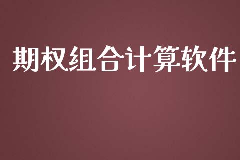 期权组合计算软件_https://cj007.lansai.wang_债券资讯_第1张