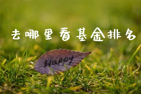 去哪里看基金排名_https://cj007.lansai.wang_债券资讯_第1张