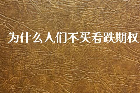 为什么人们不买看跌期权_https://cj007.lansai.wang_全球市场_第1张