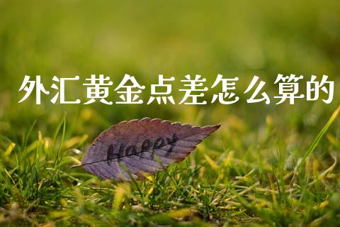 外汇黄金点差怎么算的_https://cj007.lansai.wang_财经新闻_第1张