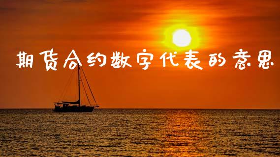 期货合约数字代表的意思_https://cj007.lansai.wang_外汇交易_第1张