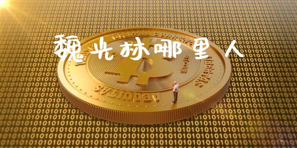 魏光林哪里人_https://cj007.lansai.wang_金融监管_第1张