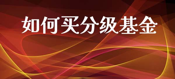 如何买分级基金_全球市场_第1张_期货开户_金融监管_外汇交易_债券资讯_全球市场_财经新闻 如何买分级基金_https://cj007.lansai.wang_全球市场_第1张