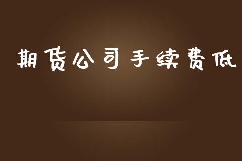 期货公司手续费低_https://cj007.lansai.wang_外汇交易_第1张