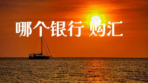哪个银行 购汇_https://cj007.lansai.wang_全球市场_第1张