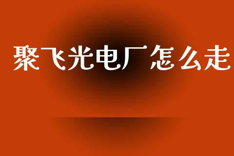 聚飞光电厂怎么走_https://cj007.lansai.wang_金融监管_第1张