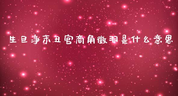生旦净末丑宫商角徵羽是什么意思_https://cj007.lansai.wang_金融监管_第1张