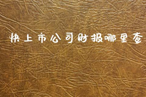 快上市公司财报哪里查_https://cj007.lansai.wang_外汇交易_第1张