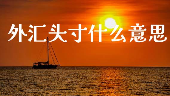 外汇头寸什么意思_https://cj007.lansai.wang_金融监管_第1张
