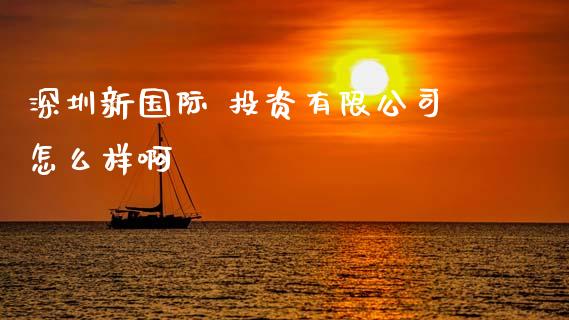 深圳新国际 投资有限公司怎么样啊_https://cj007.lansai.wang_财经新闻_第1张