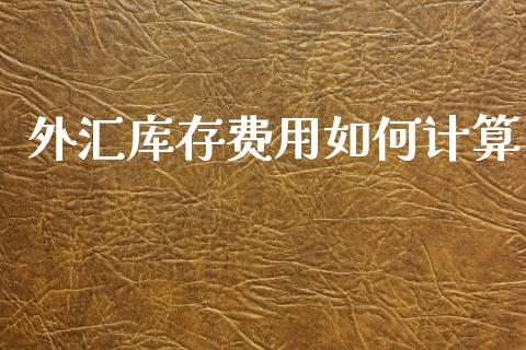 外汇库存费用如何计算_https://cj007.lansai.wang_金融监管_第1张