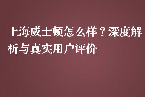 上海威士顿怎么样？深度解析与真实用户评价_https://cj007.lansai.wang_金融监管_第1张