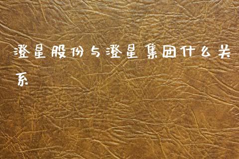 澄星股份与澄星集团什么关系_https://cj007.lansai.wang_期货开户_第1张