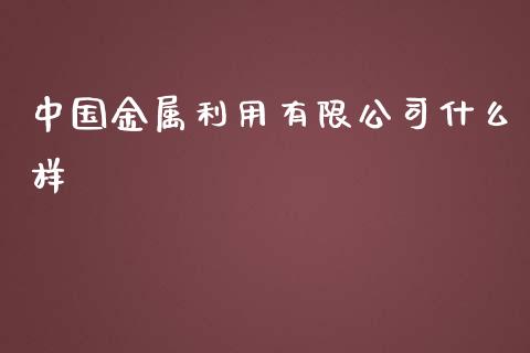 中国金属利用有限公司什么样_https://cj007.lansai.wang_金融监管_第1张