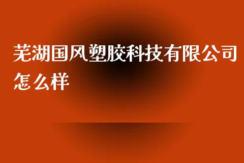 芜湖国风塑胶科技有限公司怎么样_https://cj007.lansai.wang_金融监管_第1张