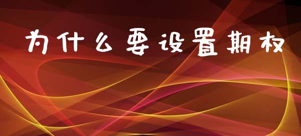 为什么要设置期权_https://cj007.lansai.wang_全球市场_第1张