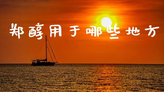 郑醇用于哪些地方_https://cj007.lansai.wang_全球市场_第1张