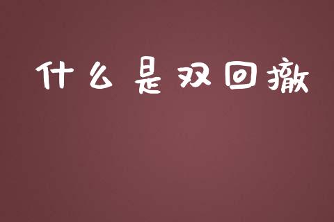 什么是双回撤_https://cj007.lansai.wang_财经新闻_第1张