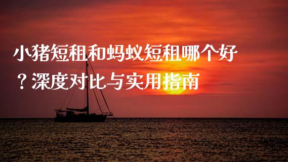 小猪短租和蚂蚁短租哪个好？深度对比与实用指南_https://cj007.lansai.wang_全球市场_第1张