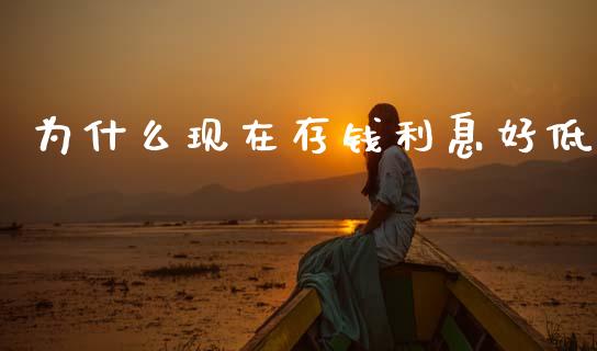 为什么现在存钱利息好低_https://cj007.lansai.wang_债券资讯_第1张