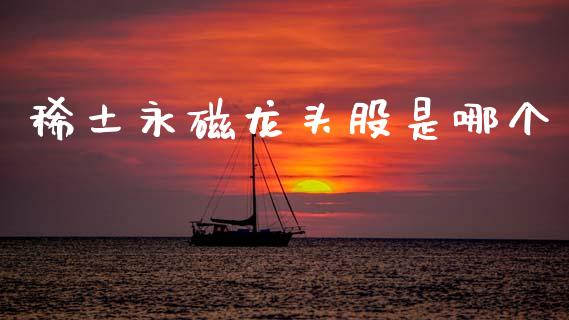 稀土永磁龙头股是哪个_https://cj007.lansai.wang_全球市场_第1张