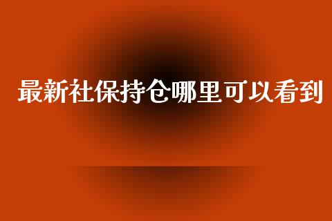 最新社保持仓哪里可以看到_https://cj007.lansai.wang_财经新闻_第1张