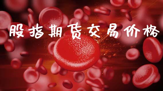 股指期货交易价格_https://cj007.lansai.wang_外汇交易_第1张