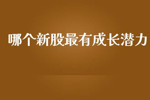 哪个新股最有成长潜力_https://cj007.lansai.wang_债券资讯_第1张