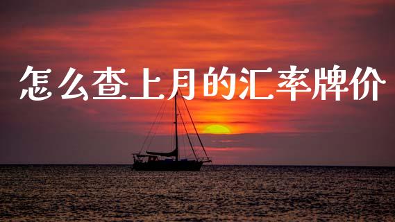 怎么查上月的汇率牌价_https://cj007.lansai.wang_外汇交易_第1张