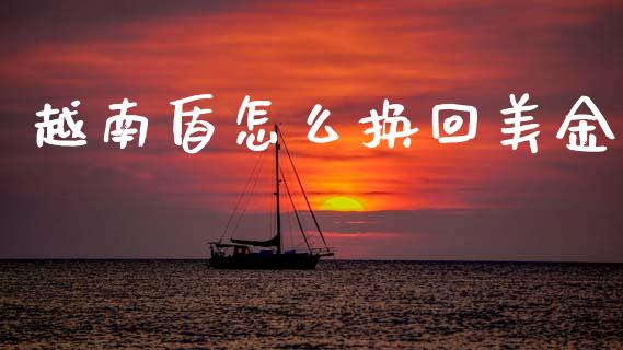 越南盾怎么换回美金_https://cj007.lansai.wang_金融监管_第1张