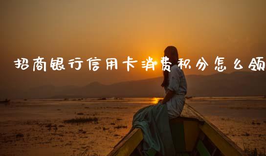 招商银行信用卡消费积分怎么领_https://cj007.lansai.wang_期货开户_第1张