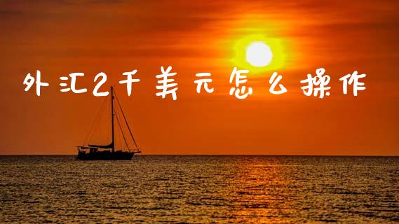 外汇2千美元怎么操作_https://cj007.lansai.wang_债券资讯_第1张