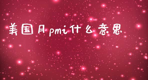 美国月pmi什么意思_https://cj007.lansai.wang_财经新闻_第1张