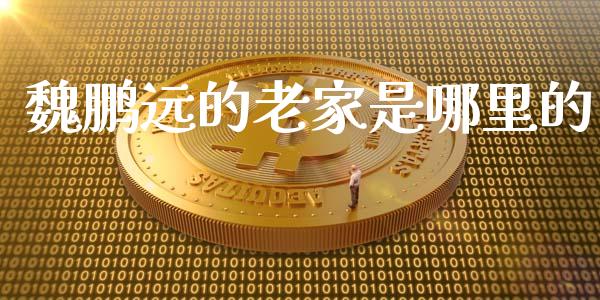 魏鹏远的老家是哪里的_https://cj007.lansai.wang_债券资讯_第1张