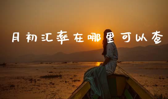 月初汇率在哪里可以查_https://cj007.lansai.wang_金融监管_第1张
