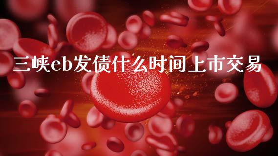 三峡eb发债什么时间上市交易_https://cj007.lansai.wang_金融监管_第1张