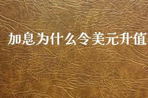 加息为什么令美元升值_https://cj007.lansai.wang_外汇交易_第1张