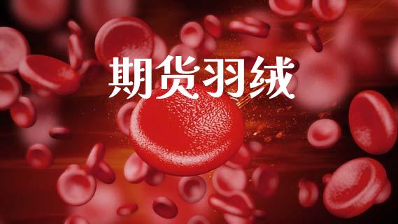 期货羽绒_https://cj007.lansai.wang_外汇交易_第1张