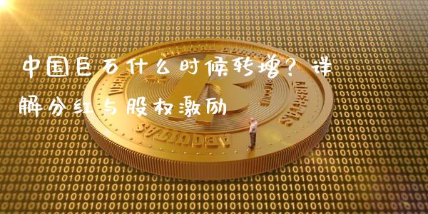中国巨石什么时候转增？详解分红与股权激励_https://cj007.lansai.wang_财经新闻_第1张