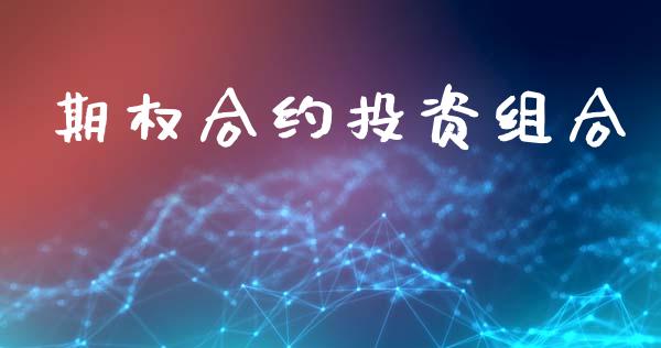 期权合约投资组合_https://cj007.lansai.wang_债券资讯_第1张