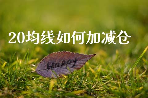 20均线如何加减仓_https://cj007.lansai.wang_金融监管_第1张