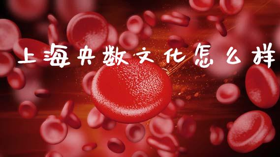 上海央数文化怎么样_https://cj007.lansai.wang_财经新闻_第1张